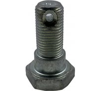 Болт М10х1x25 крепления рычага тормозной колодки для ГАЗ-3302 BULTEN 291491-П29
