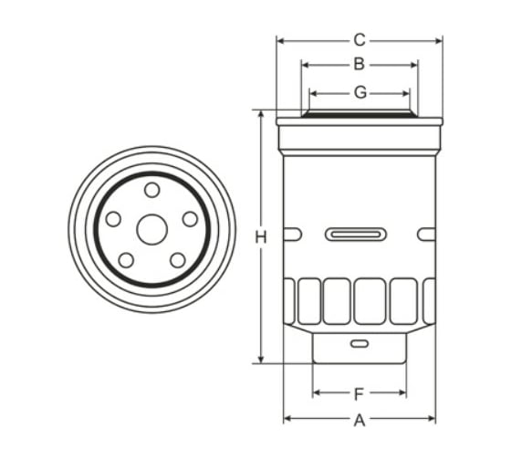 Фильтр топливный SCT ST306