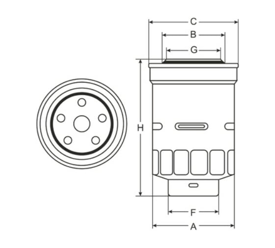 Фильтр топливный SCT ST307