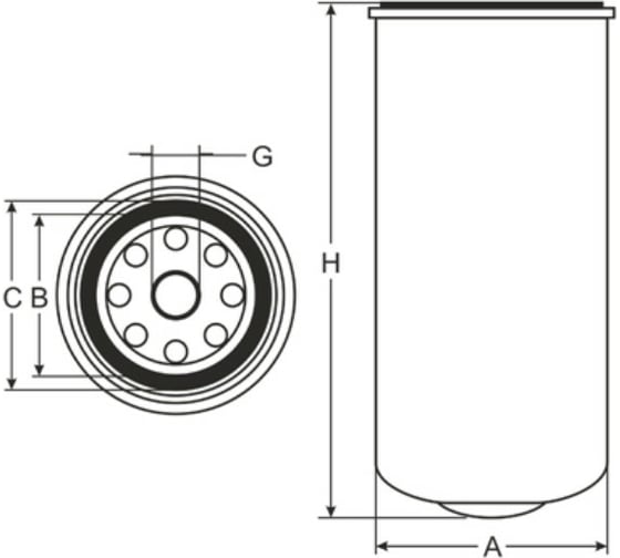 Фильтр топливный SCT ST6058