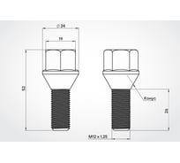 Болт колесный AIRLINE M12x1.25x26x52, конус, кл.19, дакромет для а/м Peugeot/Citroen (20 шт) ABLT029
