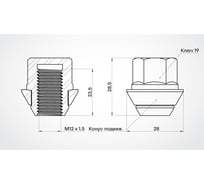 Гайка колесная AIRLINE M12x1.5x28.5, конус подвижный, кл.19, закрытая, хром для а/м Ford (20 шт) ASCR010