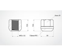 Гайка колесная AIRLINE M12x1.5x19.5, сфера R12, кл.19, открытая, хром для а/м Honda (20 шт) ASCR016