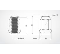 Гайка колесная AIRLINE M12x1.5x36, конус, кл.19, закрытая, дакромет для а/м Chevrolet/Opel (20 шт) ASCR032