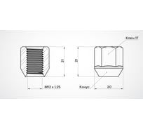 Гайка колесная AIRLINE M12x1.25x21, конус, кл.17, открытая, хром для а/м Daewoo/Chevrolet (20 шт) ASCR028