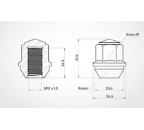 Гайка колесная AIRLINE M12x1.5x31.5, конус, кл.19, закрытая, хром для а/м Ford (20 шт) ASCR031