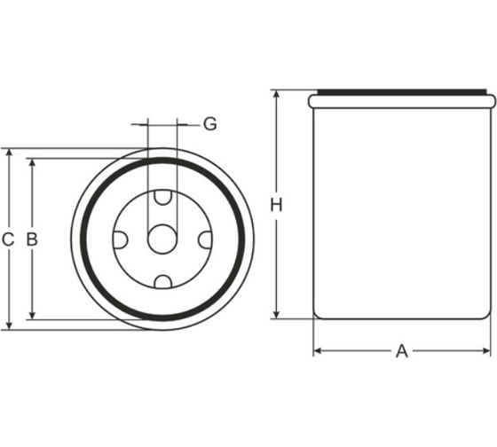 Фильтр топливный SCT ST6094
