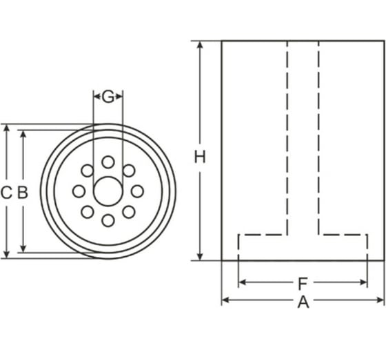 Фильтр топливный SCT ST6074