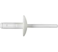 Заклепка 10 шт AVERS 7147391323-10