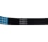 Поликлиновой ремень Globelt 6PK823 EPDM 3