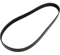 Поликлиновой ремень Globelt 8PK1025