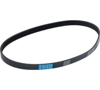 Поликлиновой ремень Globelt 6PK905