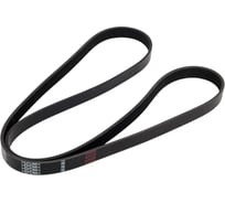 Поликлиновой ремень Globelt 6PK1600 EPDM