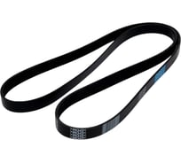 Поликлиновой ремень Globelt 6PK1693 EPDM