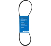 Поликлиновой ремень Globelt 5PK880