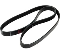 Поликлиновой ремень Globelt 6PK1205