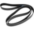 Поликлиновой ремень Globelt 8PK1920 EPDM 1