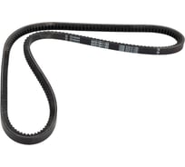Зубчатый ремень Globelt AVX13x1150