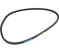 Зубчатый ремень Globelt AVX10x975 HD