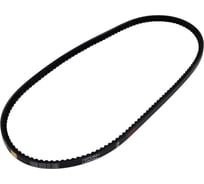 Зубчатый ремень Globelt AVX10x950 HD