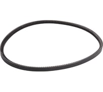 Зубчатый ремень Globelt AVX13x1075