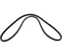 Зубчатый ремень Globelt AVX13x1485