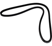 Зубчатый ремень Globelt AVX13x1310