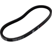 Зубчатый ремень Globelt AVX13x675 HD