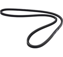 Зубчатый ремень Globelt AVX13x1600