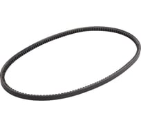 Зубчатый ремень Globelt AVX10x940