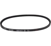 Зубчатый ремень Globelt AVX13x875