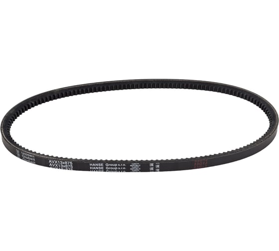 Зубчатый ремень Globelt AVX13x875