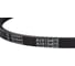 Зубчатый ремень Globelt AVX13x875 2