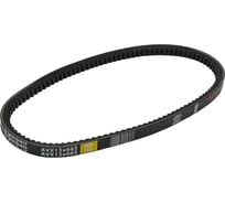 Зубчатый ремень Globelt AVX13x665 HD