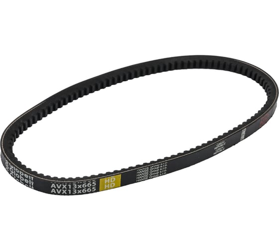 Зубчатый ремень Globelt AVX13x665 HD