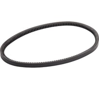 Зубчатый ремень Globelt AVX13x825