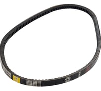 Зубчатый ремень Globelt AVX13x960 HD