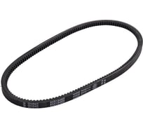 Зубчатый ремень Globelt AVX13x925