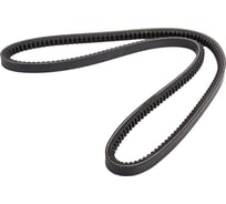 Зубчатый ремень Globelt AVX13x1125 HD