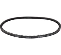 Зубчатый приводной ремень Globelt AVX10x710