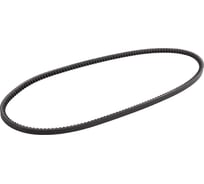 Зубчатый приводной ремень Globelt AVX10x1018