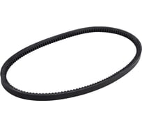 Зубчатый приводной ремень Globelt AVX13x850