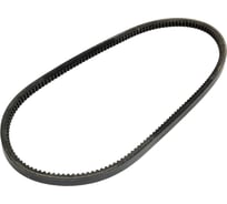 Зубчатый приводной ремень Globelt AVX13x990