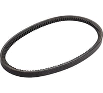 Зубчатый ремень Globelt AVX13x710