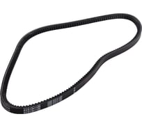 Зубчатый ремень Globelt AVX13x1100