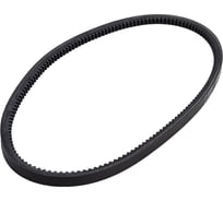 Зубчатый ремень Globelt AVX13x900