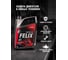 Масло FELIX 4T 10W40 SM JASO MA2 4л 410000279 3