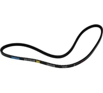 Зубчатый ремень Globelt AVX11x10x1250 HD