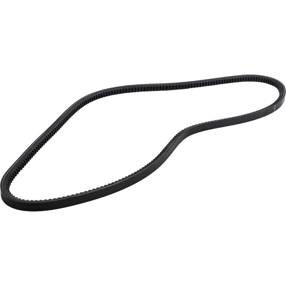 Зубчатый ремень Globelt AVX11x10x1450 - выгодная цена, отзывы ...