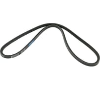 Зубчатый ремень Globelt AVX11x10x1450 HD